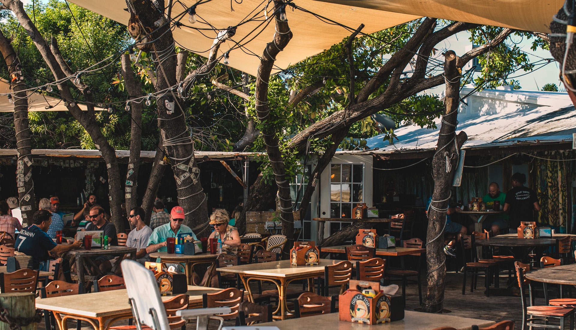 Best Chicken Wings In Islamorada
