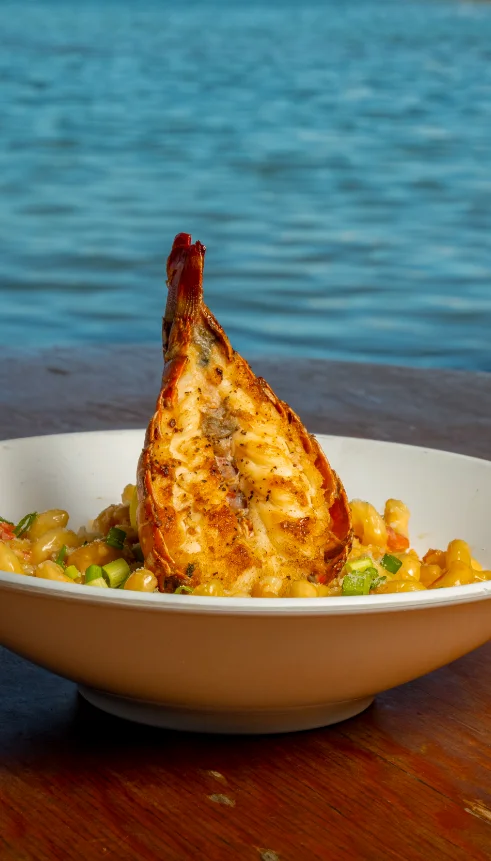 Lobster Mac n' Cheese