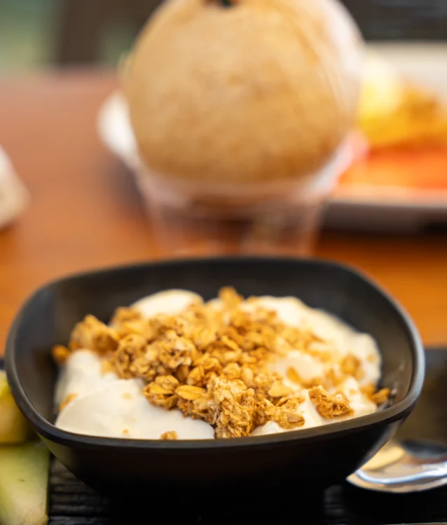 Yogurt With Granola: A Simple and Delicious Guide 1 Yogurt with granola
