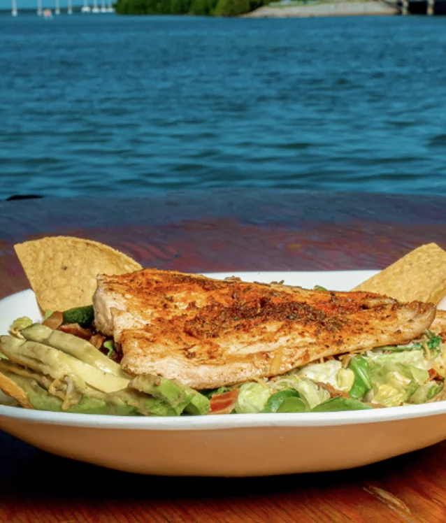 Grilled fish