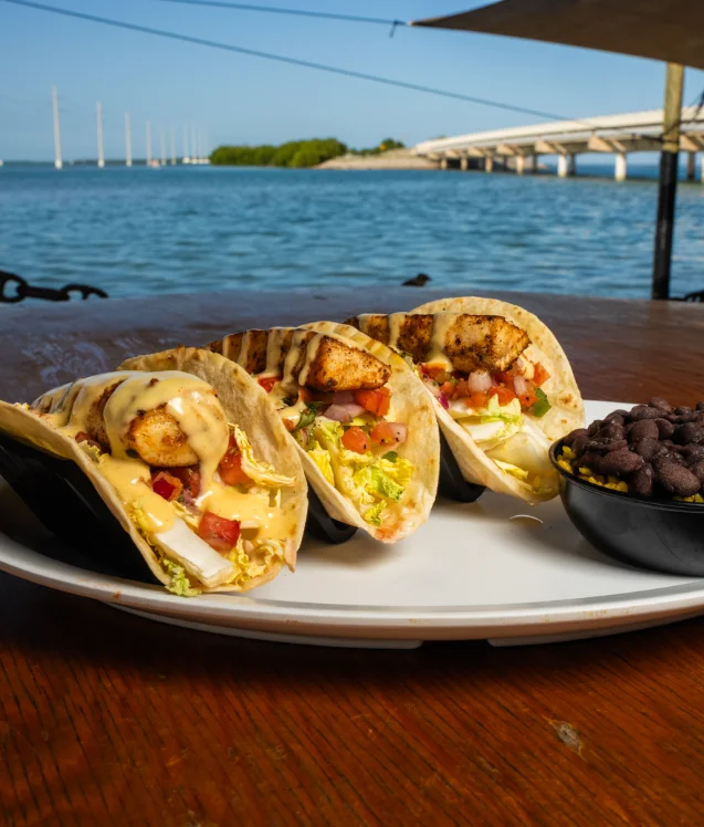 Buffalo chicken taco